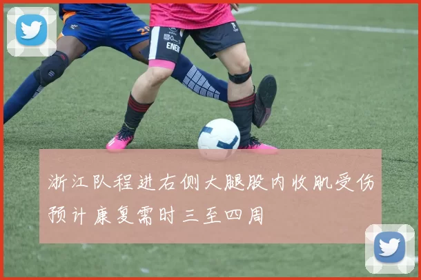 浙江队程进右侧大腿股内收肌受伤预计康复需时三至四周